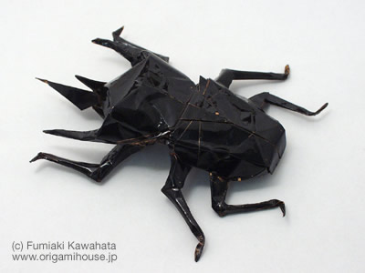 Caucasus Giant Beetle