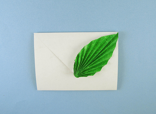 Leaf Notecard
