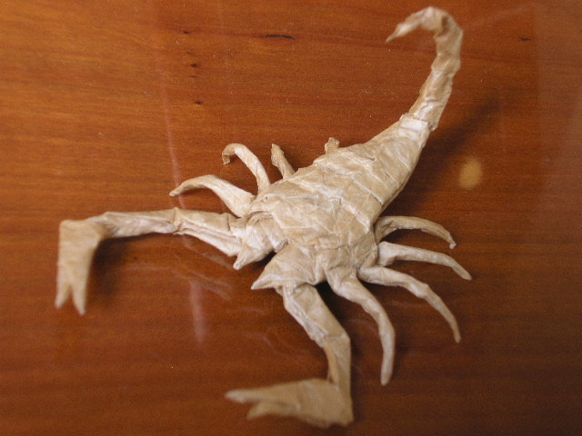 Scorpion Buthus