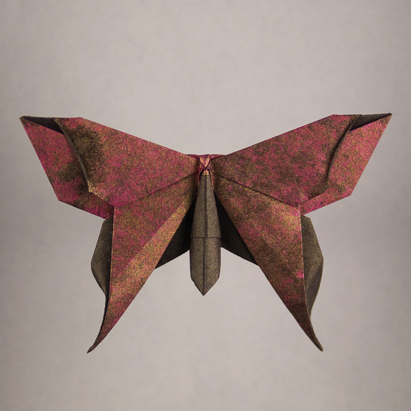 Alexander Swallowtail (Butterfly)