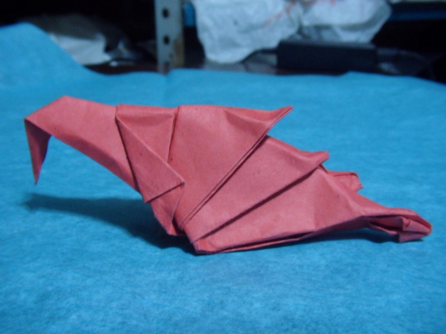 Eagle head / 