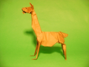 Llama