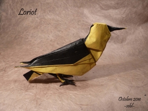 Golden oriole