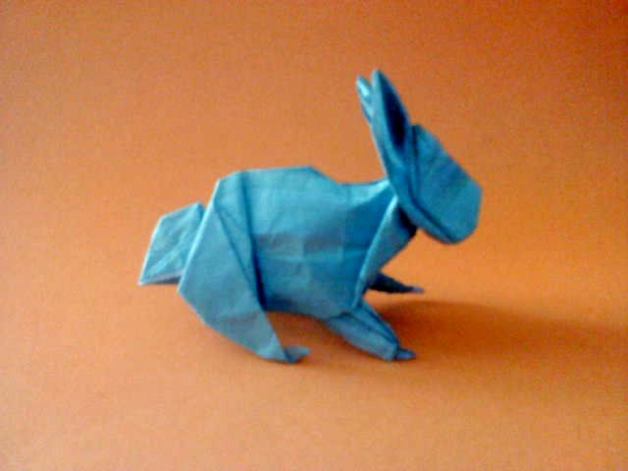 Rabbit