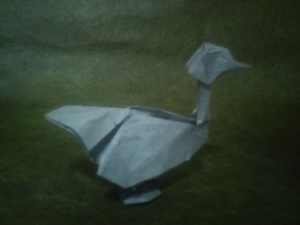 Swan