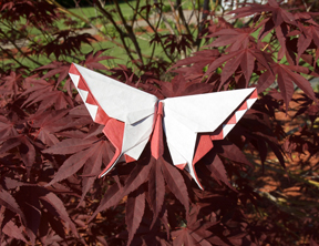 A Butterfly for Mr. Makoto Yamaguchi