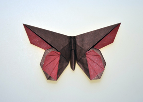 A Butterfly for Anne LaVin