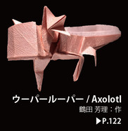 Axolotl (CP)