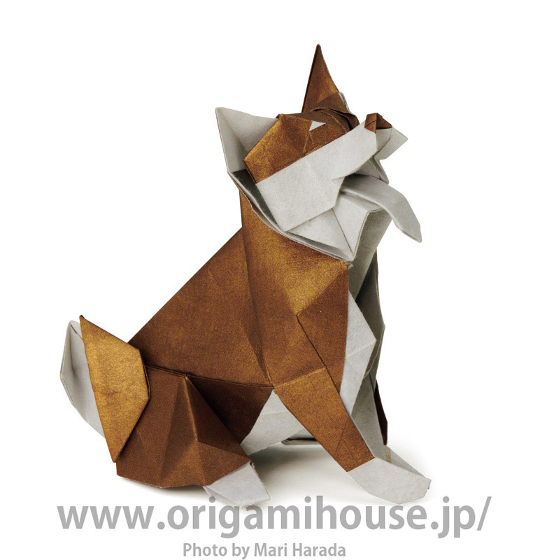 Shiba Inu