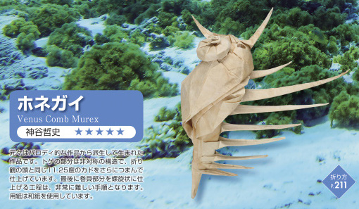 model image