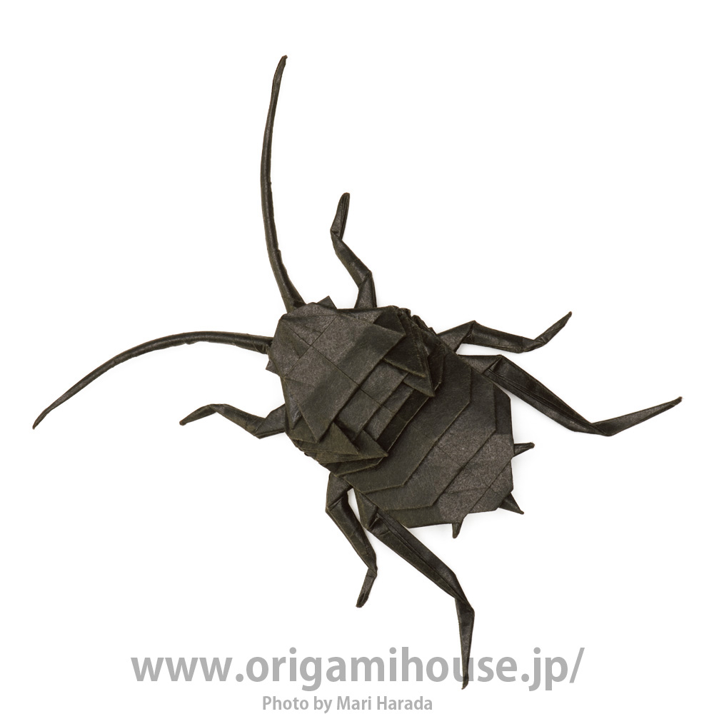 Cockroach