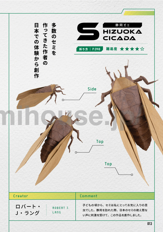 Shizuoka Cicada